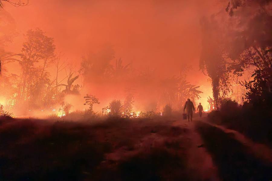 Incendios forestales arrasan Bolivia: Más de 3 millones de hectáreas afectadas en 2023