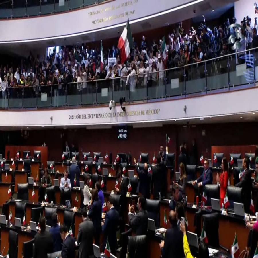 Manifestantes invaden el Senado de la República