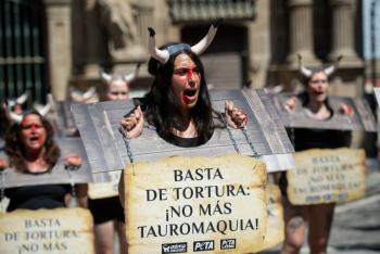 Primera demanda contra la ley que prohíbe las corridas de toros llega a la Corte Constitucional