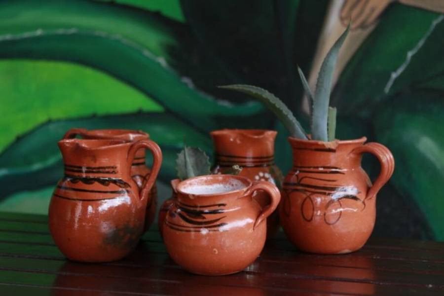 Invita Secretaría de Cultura y Turismo a la muestra Raíces en el Corazón Mexiquense