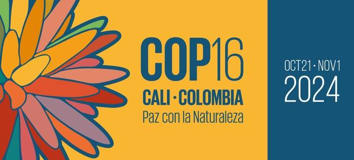 Más de 11.000 miembros de la Fuerza Pública garantizarán la seguridad en la COP16 en Cali