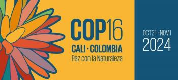 M&aacute;s de 11.000 miembros de la Fuerza P&uacute;blica garantizar&aacute;n la seguridad en la COP16 en Cali