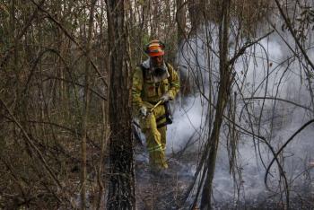 Los incendios no dan tregua en Brasil