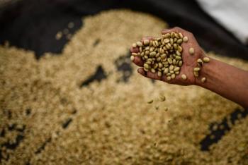Crecen 13.1 % exportaciones agropecuarias durante el mes de julio