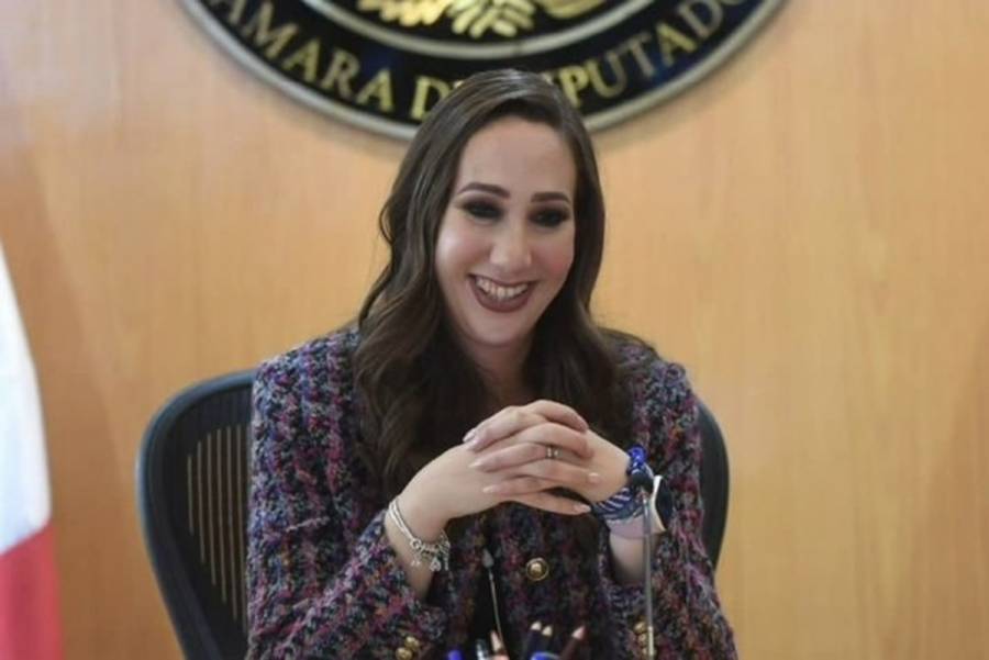 Se trabaja en cinco recursos factibles con los que se puede echar abajo la Reforma Judicial: Noemí Luna
