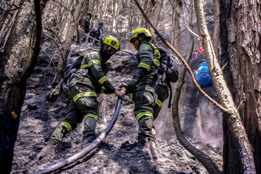 Ungrd: Incendios forestales devastan más de 19.400 hectáreas en el centro de Colombia