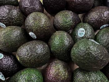 Senasica asume supervisi&oacute;n de huertos de aguacate para exportaci&oacute;n a EEUU