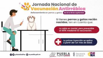 Anuncia Salud reforzamiento de vacunaci&oacute;n antirr&aacute;bica para perros y gatos