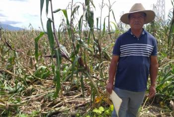 Agricultores m&aacute;s protegidos contra sequ&iacute;as y otros siniestros clim&aacute;ticos