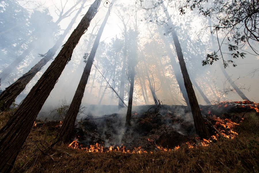 Cierran senderos de los Cerros en Bogotá por riesgo de incendios forestales