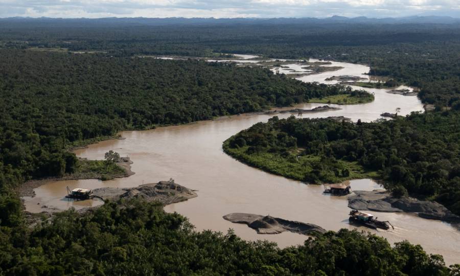 La COP16 en Cali: Los países enfrentan desafíos para cumplir el marco global de biodiversidad