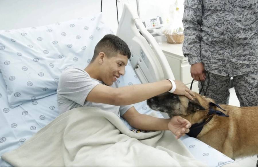 'Paco', el perrito que brinda soporte emocional a soldados heridos tras atentado del ELN