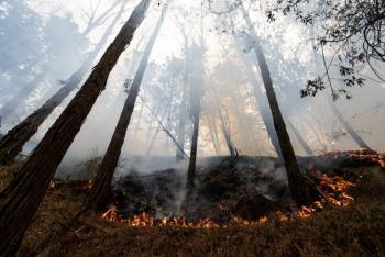 Cierran senderos de los Cerros en Bogot&aacute; por riesgo de incendios forestales