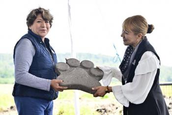 Preparan construcci&oacute;n de dos centros de bienestar animal para peque&ntilde;as especies en Toluca y Atlacomulco