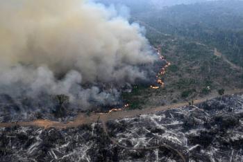 Deforestaci&oacute;n en Amazon&iacute;a arras&oacute; &aacute;rea similar a Colombia en 40 a&ntilde;os