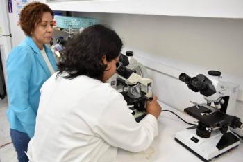 Extractos de p&aacute;palo y pipicha inhiben crecimiento de bacterias pat&oacute;genas