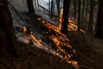 Incendios forestales se extienden a siete departamentos de Colombia