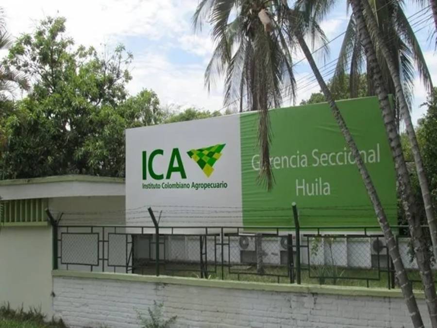 Corte Constitucional protege a funcionario del ICA desvinculado tras concurso de méritos