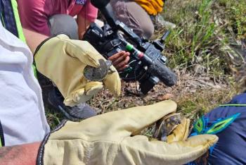Liberan a loros, tortugas y micos rescatados del cautiverio en Bogot&aacute; en su h&aacute;bitat natural