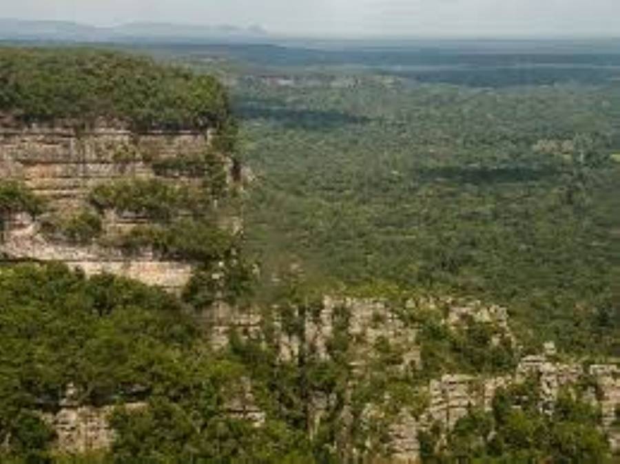Devastación ambiental en Chiribiquete: Las FARC abren camino para el narcotráfico