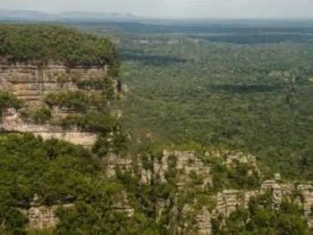 Devastaci&oacute;n ambiental en Chiribiquete: Las FARC abren camino para el narcotr&aacute;fico