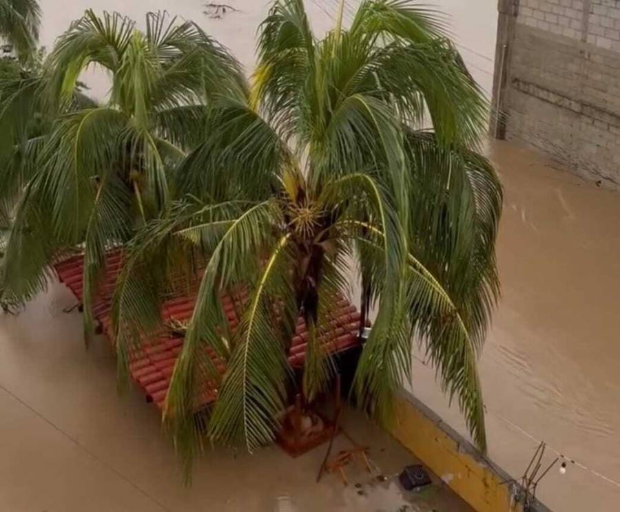 CFE corta energía eléctrica en zona Diamante, Acapulco, como medida de seguridad por inundaciones