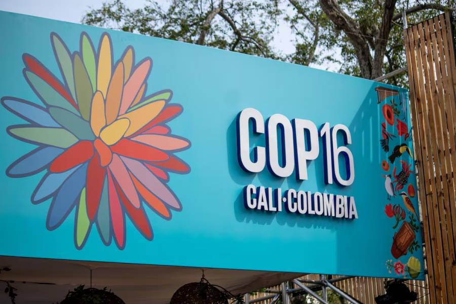 Senado aprueba exención de IVA para la COP16 en Colombia