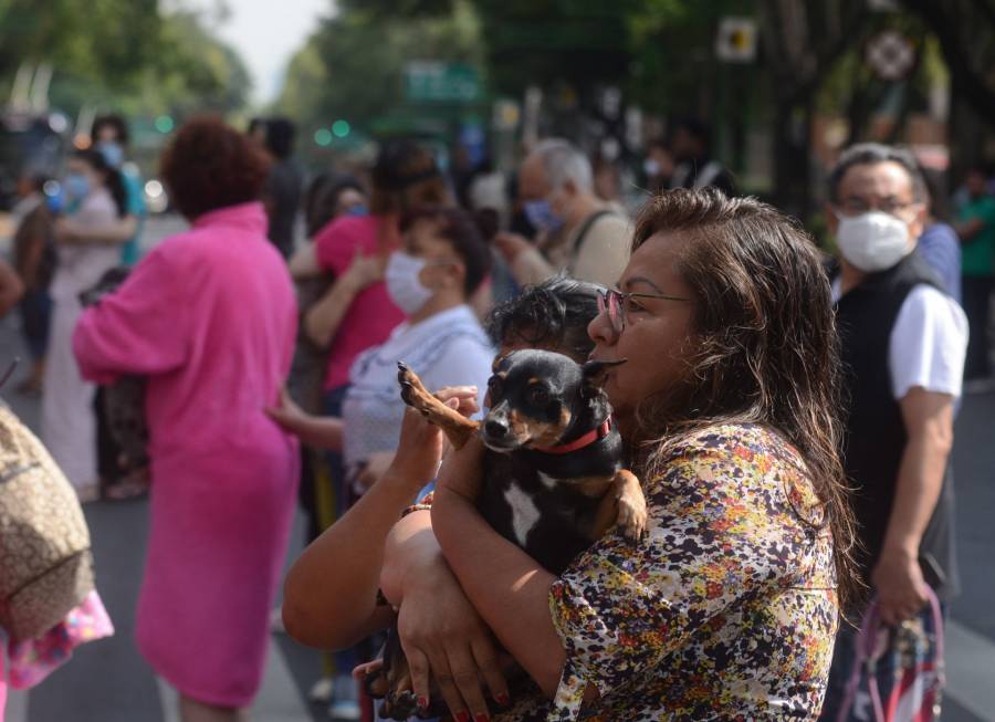 Vuelve a temblar en Oaxaca y Veracruz