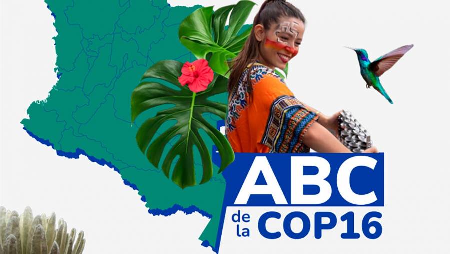 Gobierno estima que la COP16 le genere al país ingresos extraordinarios por $122.400 millones y más de 5.000 empleos
