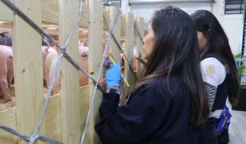 Crece durante sexenio apoyo en sanidades para productores de peque&ntilde;a y mediana escala