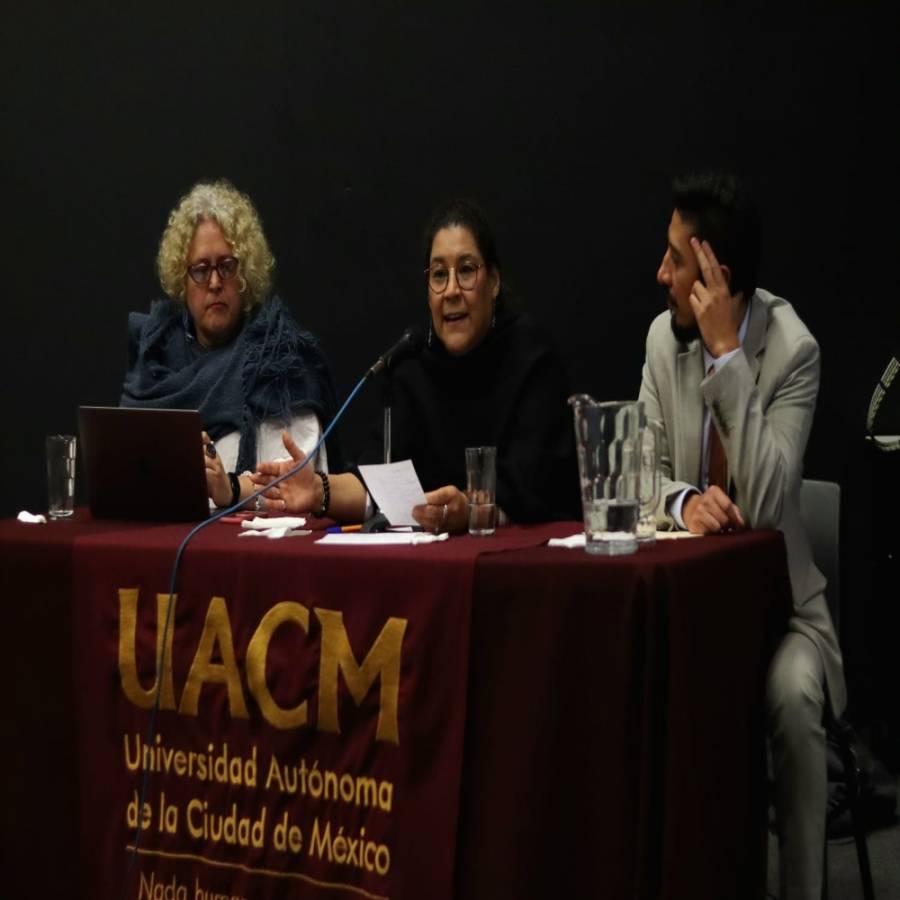 Ministra Batres afirma que Presidenta de la Corte no puede detener Reforma Judicial