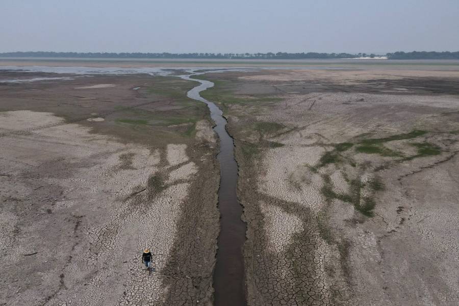 Grave sequía en el Amazonas afecta a comunidades indígenas y fauna local: UNGRD lidera acciones de emergencia