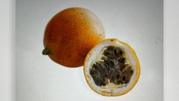 Exportaciones de granadilla colombiana alcanzaron este a&ntilde;o los 2,8 millones de d&oacute;lares