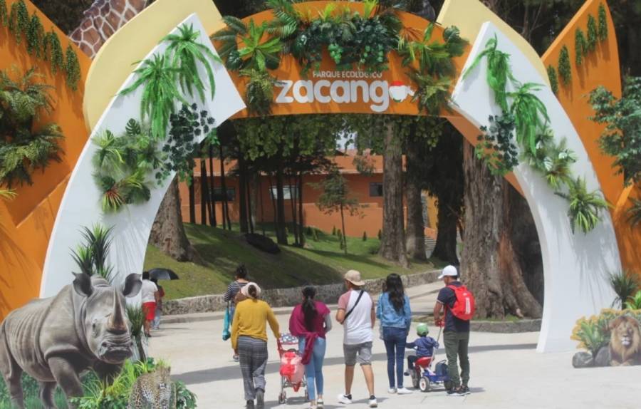 Abren inscripciones para el campamento “Luna de Octubre” en el Parque Ecológico Zacango