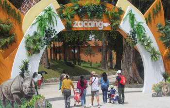 Abren inscripciones para el campamento “Luna de Octubre” en el Parque Ecológico Zacango