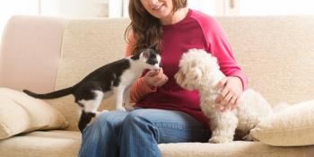 Corte Constitucional determina que los animales de compa&ntilde;&iacute;a son inembargables