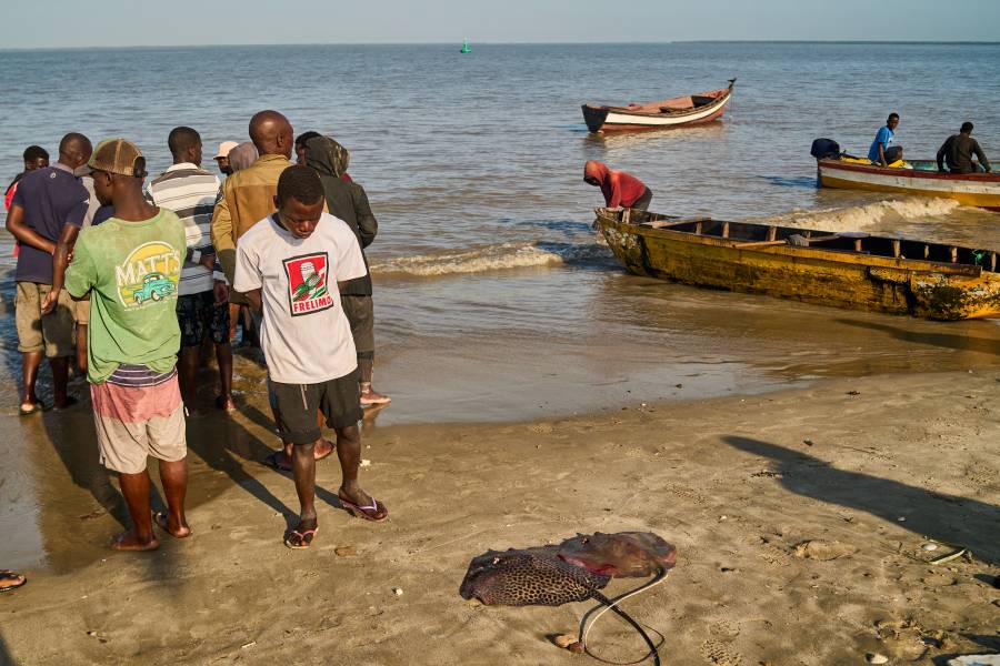 Los favoritos en la carrera presidencial de Mozambique