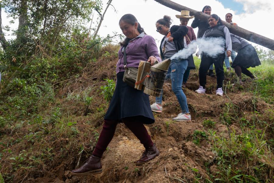 Cómo los fondos climáticos ayudaron a las apicultoras peruanas a mantenerse a flote