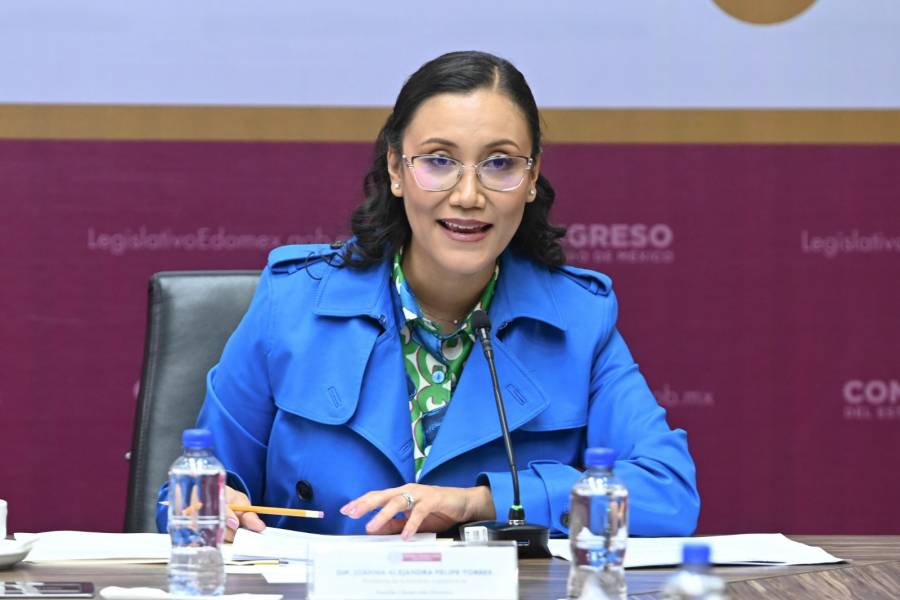 Defender&aacute; Congreso bienestar de familias mexiquenses: Joanna Felipe
