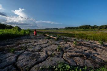 Ind&iacute;genas Yagua en Colombia enfrentan crisis por la sequ&iacute;a del Amazonas