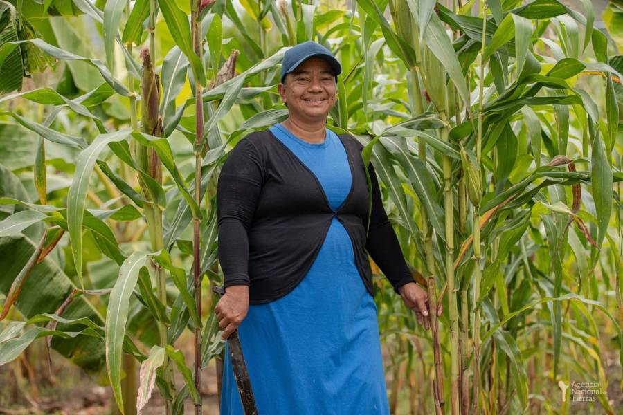 Gobierno de Colombia entrega tierras en el Cauca en un pacto histórico de reconciliación