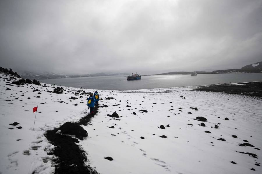 Anomalías sin precedentes en la Antártida impulsan llamados urgentes a proteger sus ecosistemas