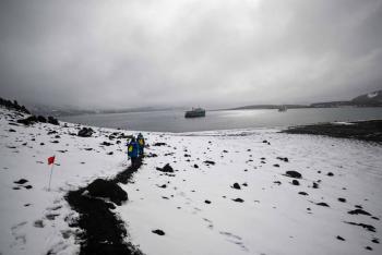 Anomal&iacute;as sin precedentes en la Ant&aacute;rtida impulsan llamados urgentes a proteger sus ecosistemas