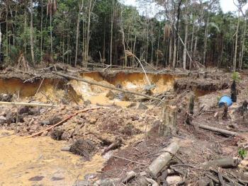 Deforestaci&oacute;n en Colombia aumenta por 