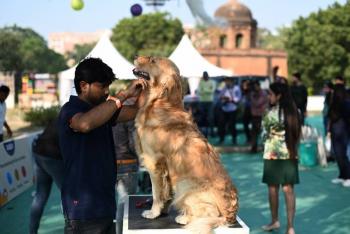 Cámara de Representantes aprueba reforma laboral que incluye mascotas de apoyo emocional