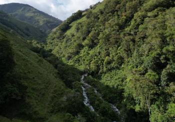 El Choc&oacute; biogeogr&aacute;fico, un tesoro natural colombiano