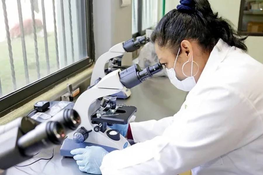 Gobierno del Edomex lanza programa MICELIOS para impulsar proyectos científicos y sociales