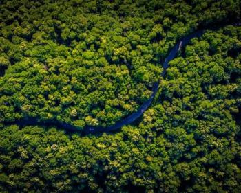 Acaparamiento de tierras impulsa deforestaci&oacute;n en la Amazon&iacute;a colombiana