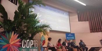 Colombia ratifica su adhesi&oacute;n al Tratado Internacional de Recursos Fitogen&eacute;ticos tras seis a&ntilde;os de espera