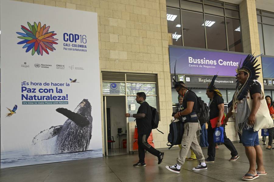 COP16 avanza con 